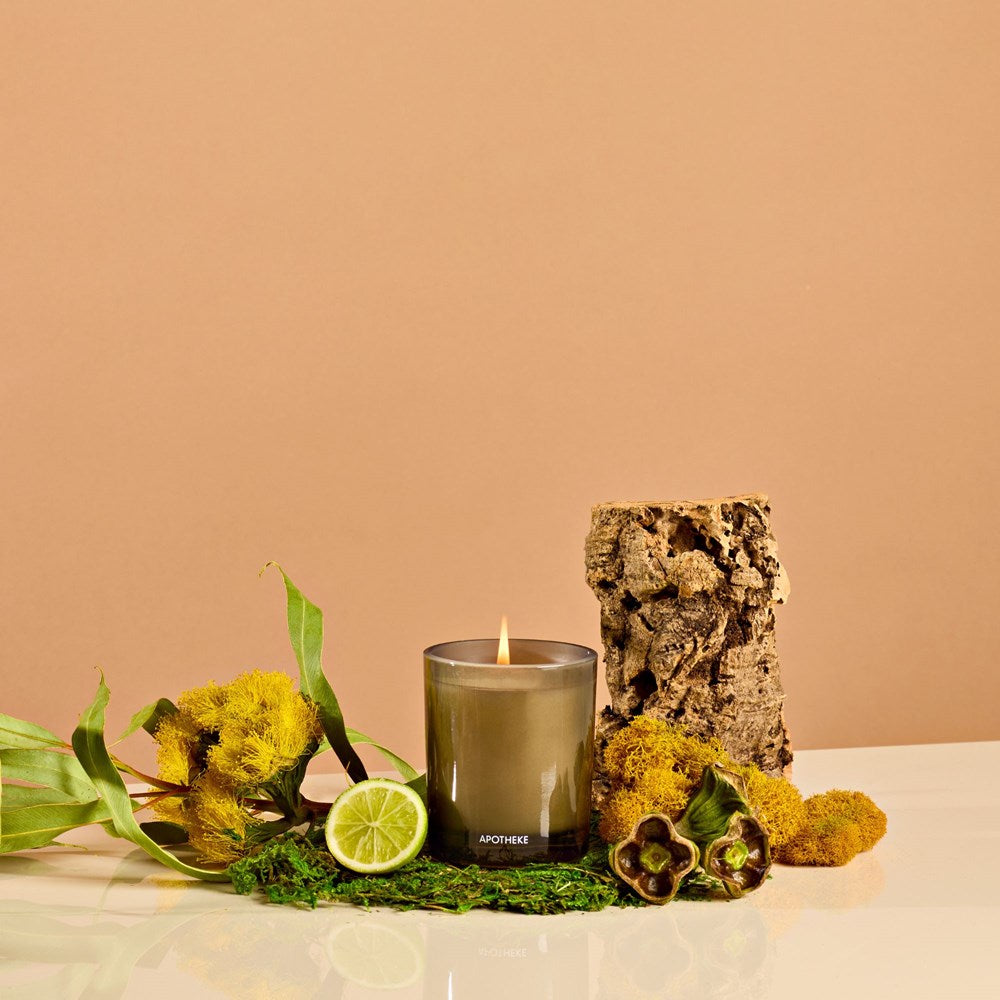Everyday Filled Candle with Woody Scent Candle