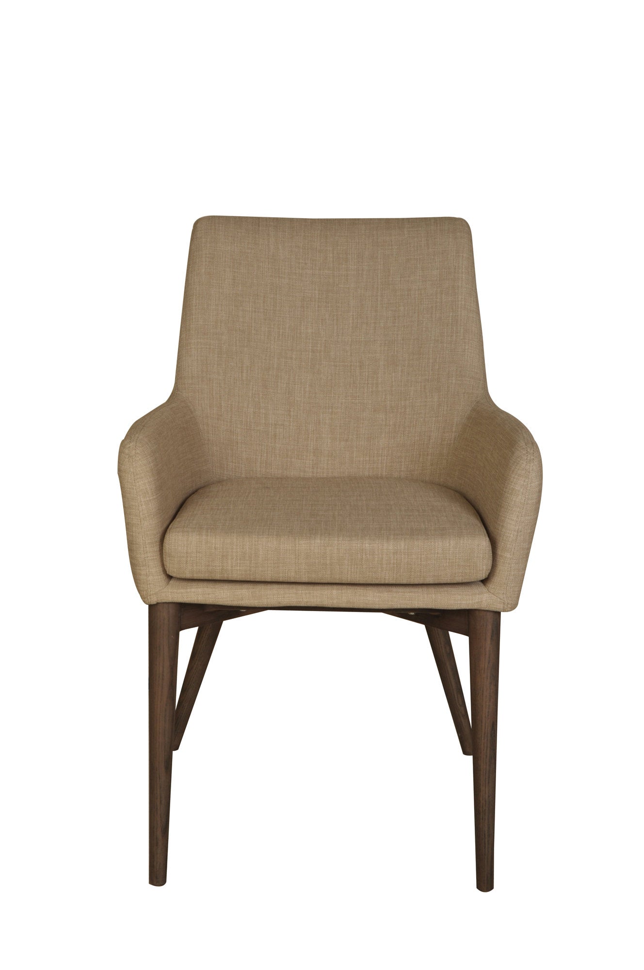 Fritz Arm Dining Chair Set of 2