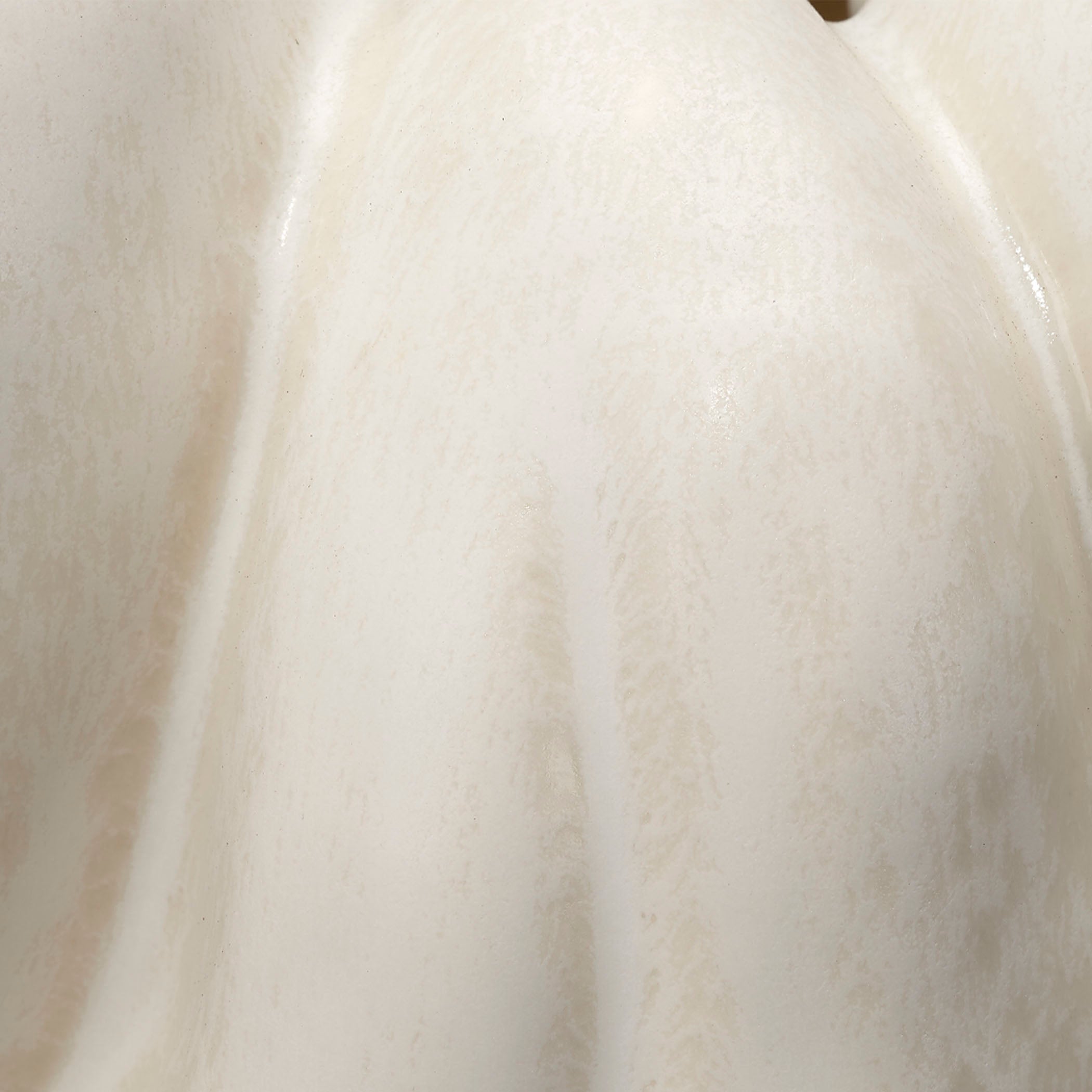 Tulip Ceramic Decorative Vase