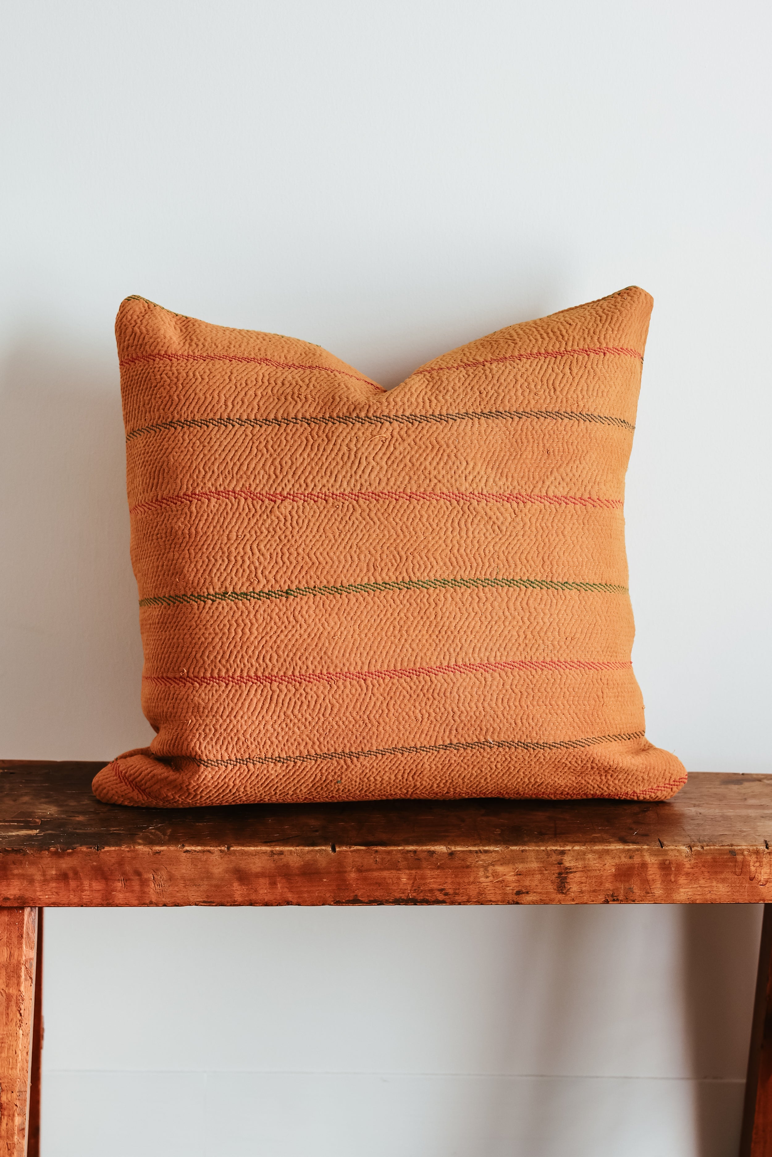 Wren Family 20X20 Pillow 2