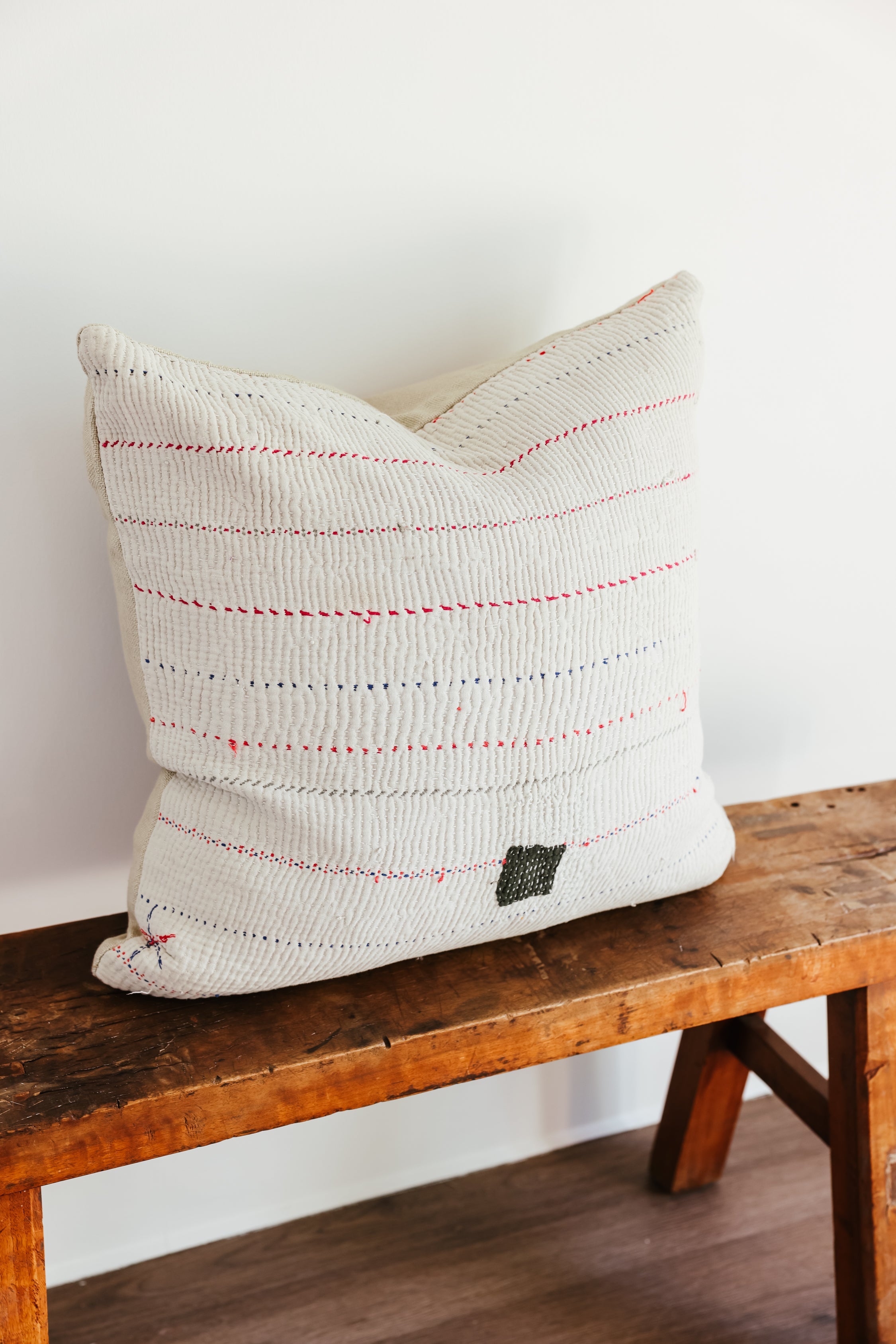 Nova 22x22 Pillow