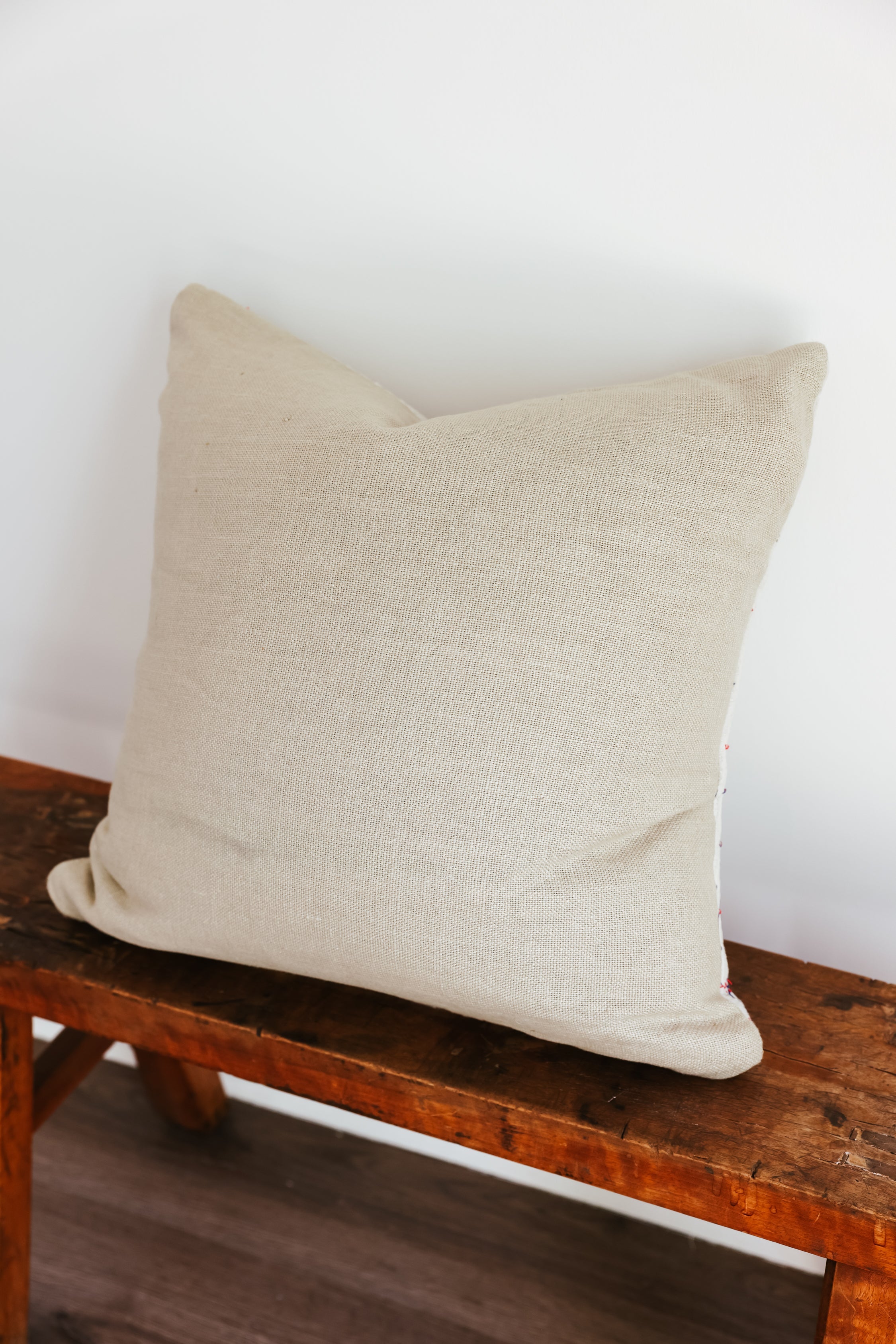Nova 22x22 Pillow