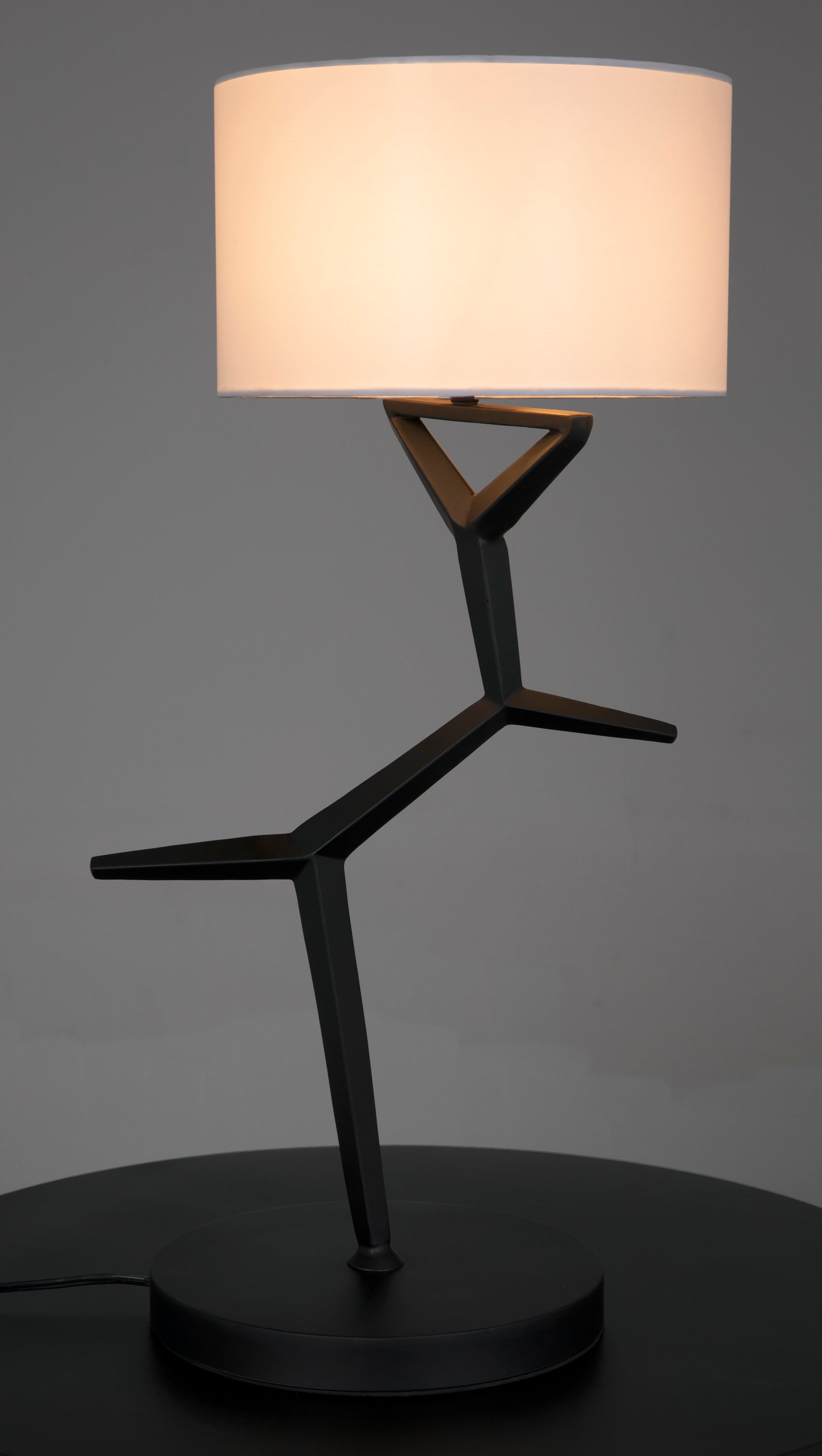 Arizona Lamp with Shade