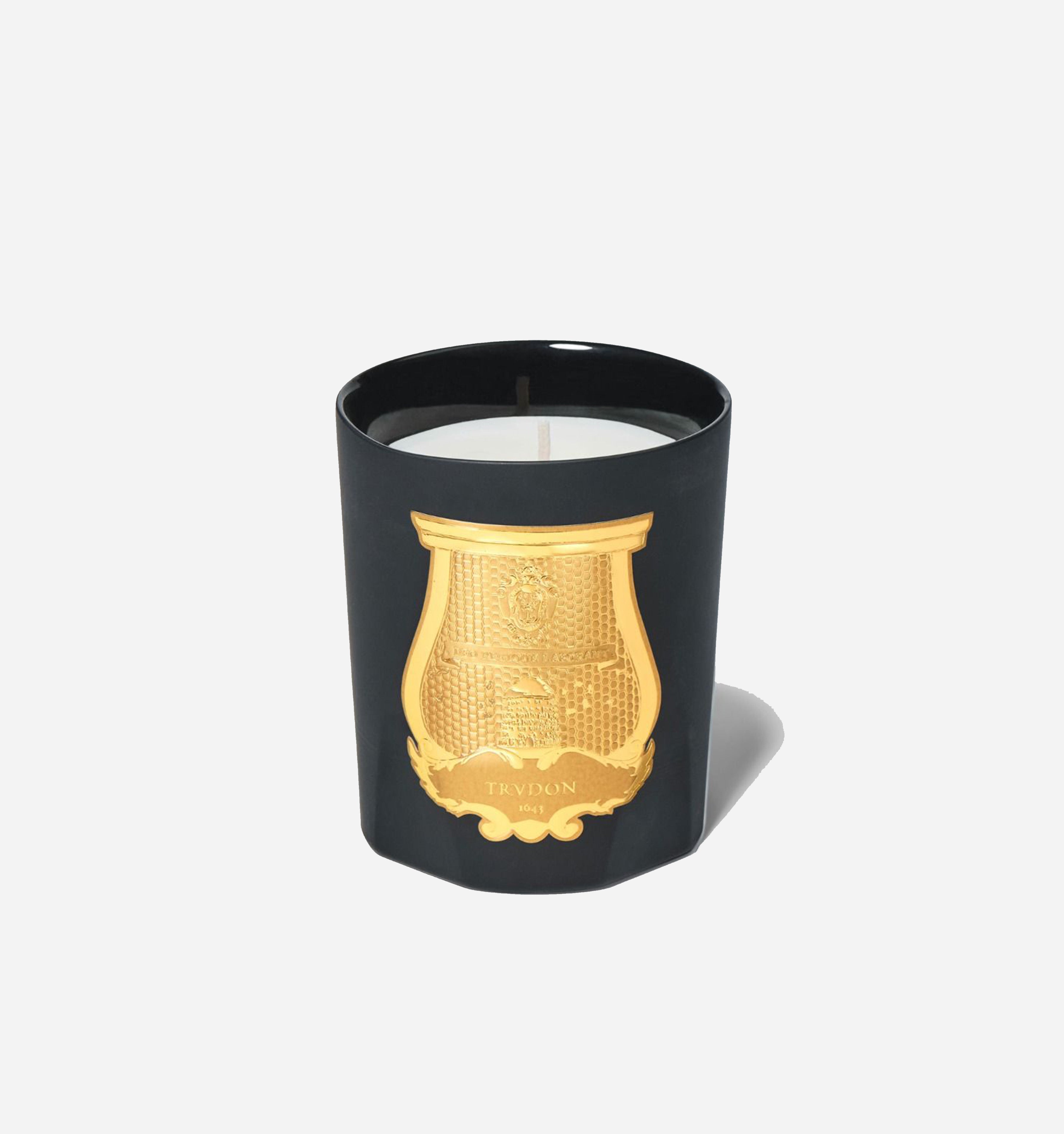 Everyday Spicy Woody Scented Filled Candle