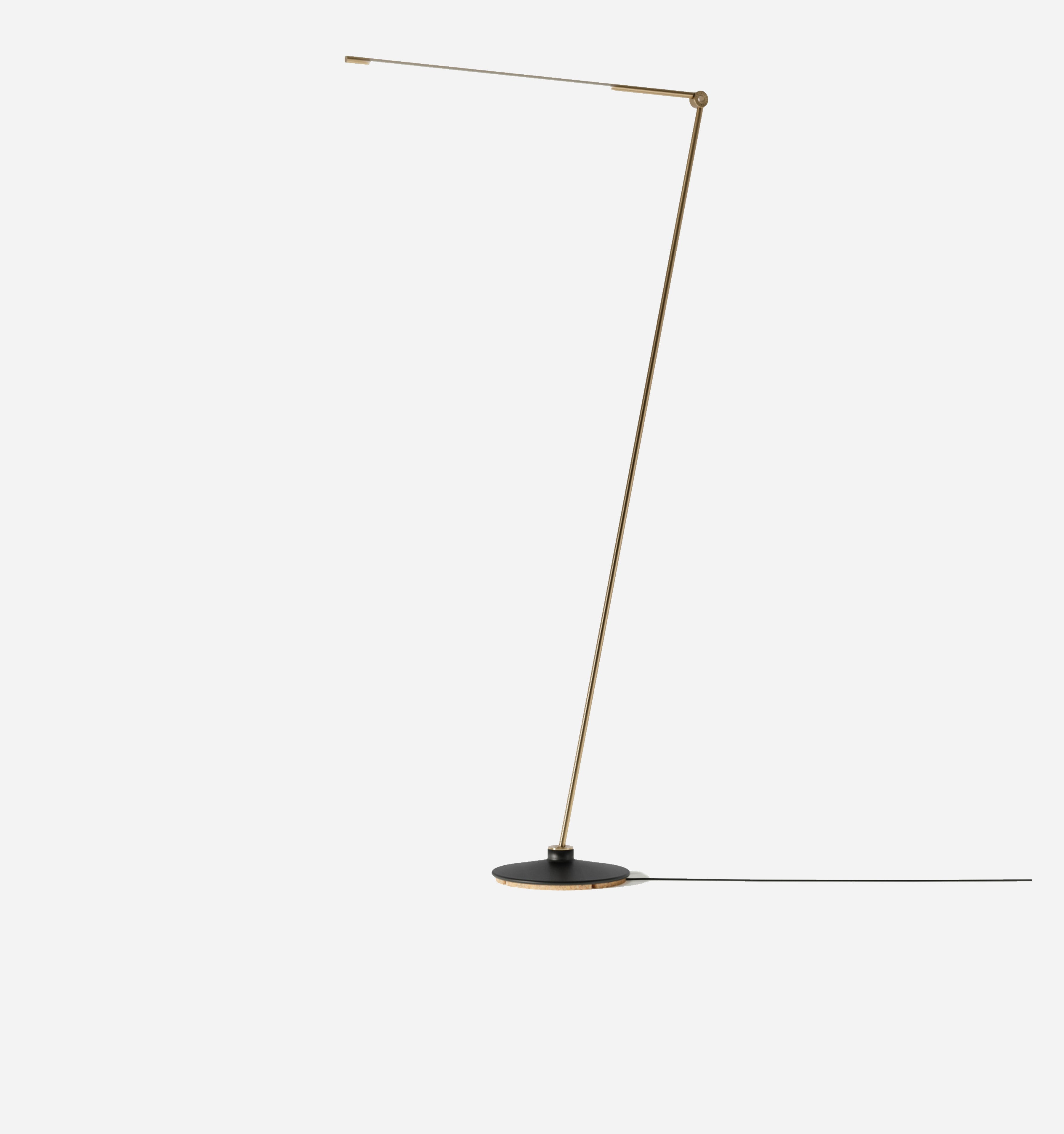Ambient Sleek Minimalist Floor Lamp with Adjustable Head