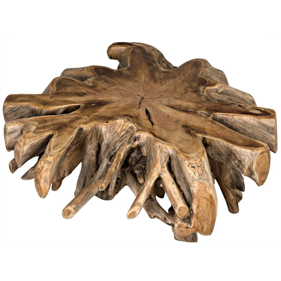 Teak Root Coffee Table