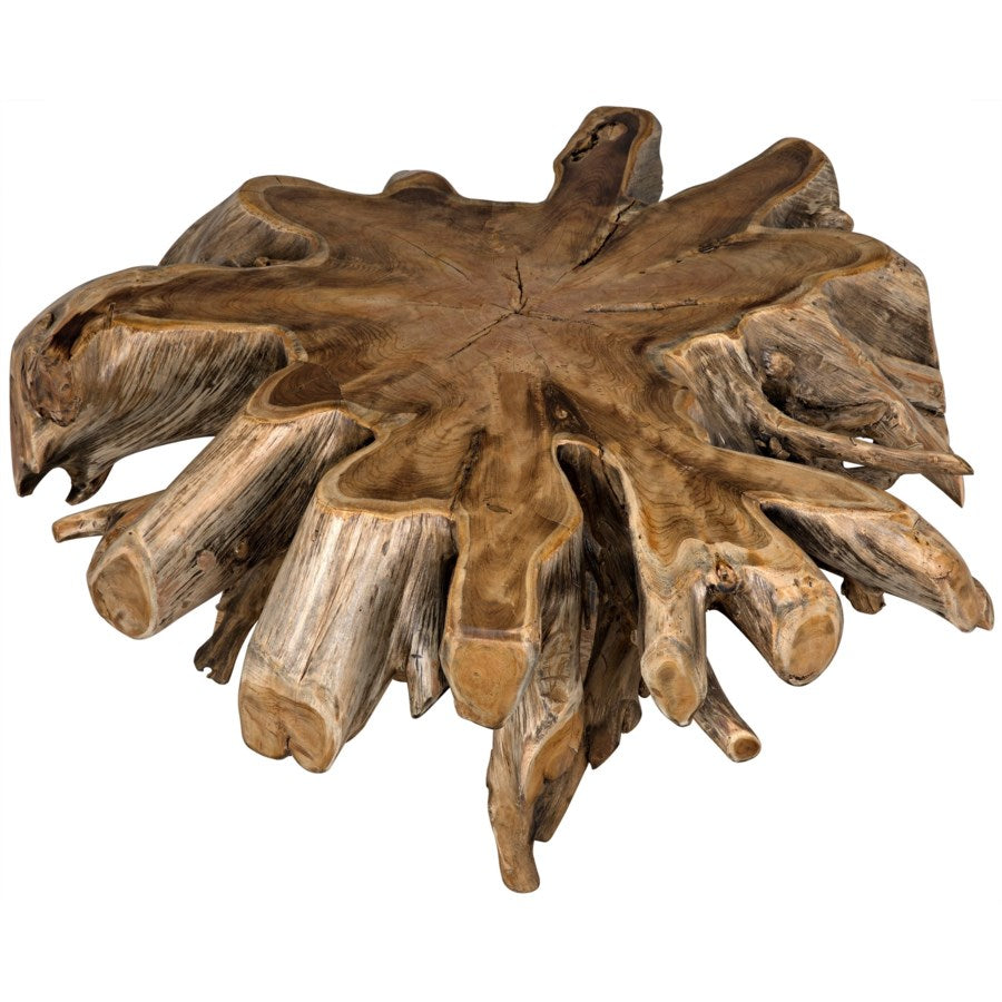 Teak Root Coffee Table