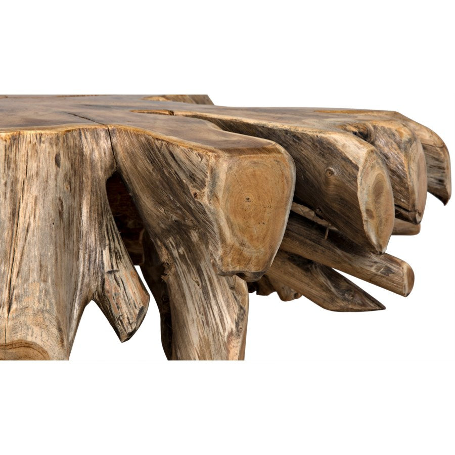 Teak Root Coffee Table