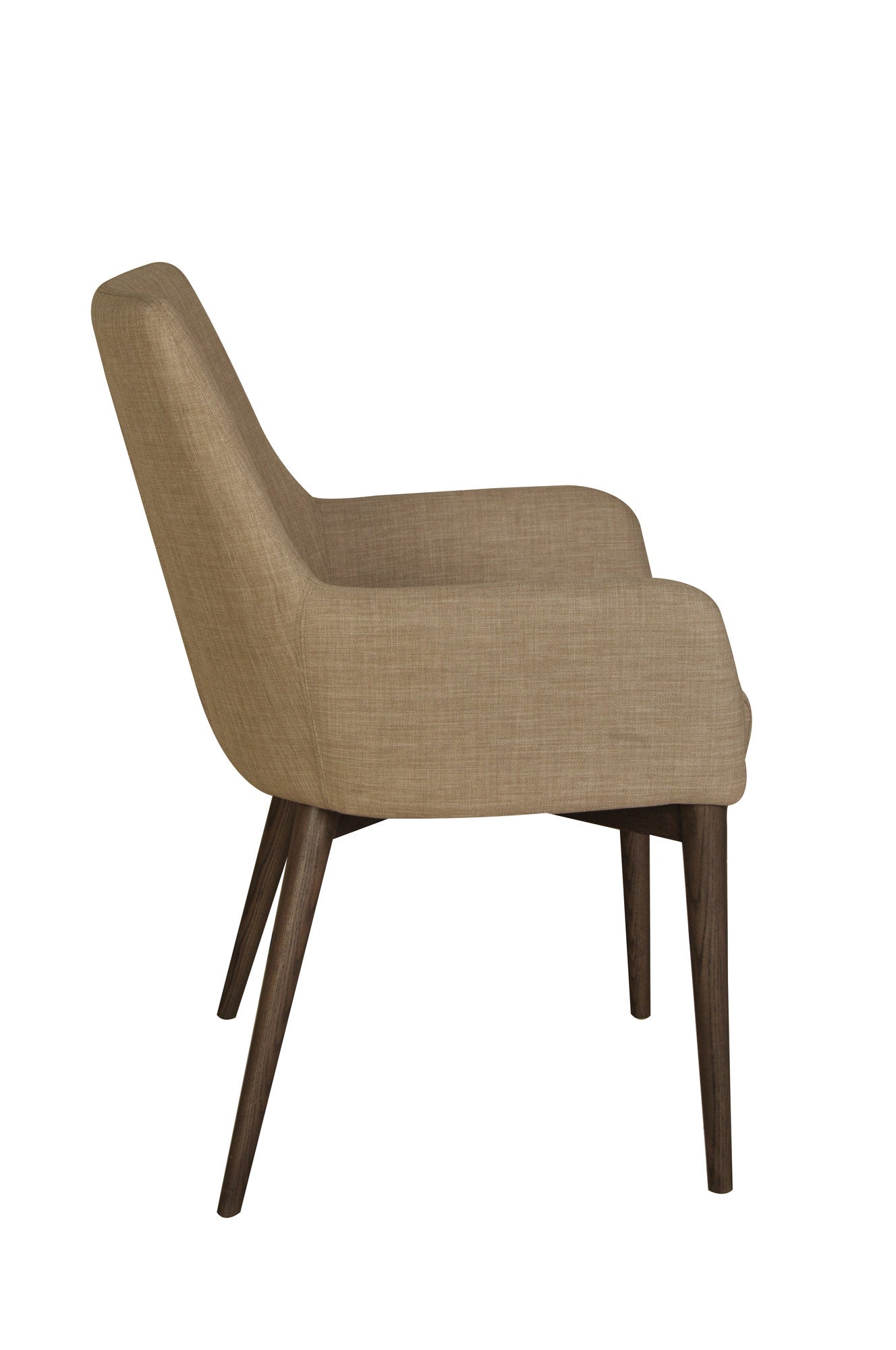 Fritz Arm Dining Chair Set of 2