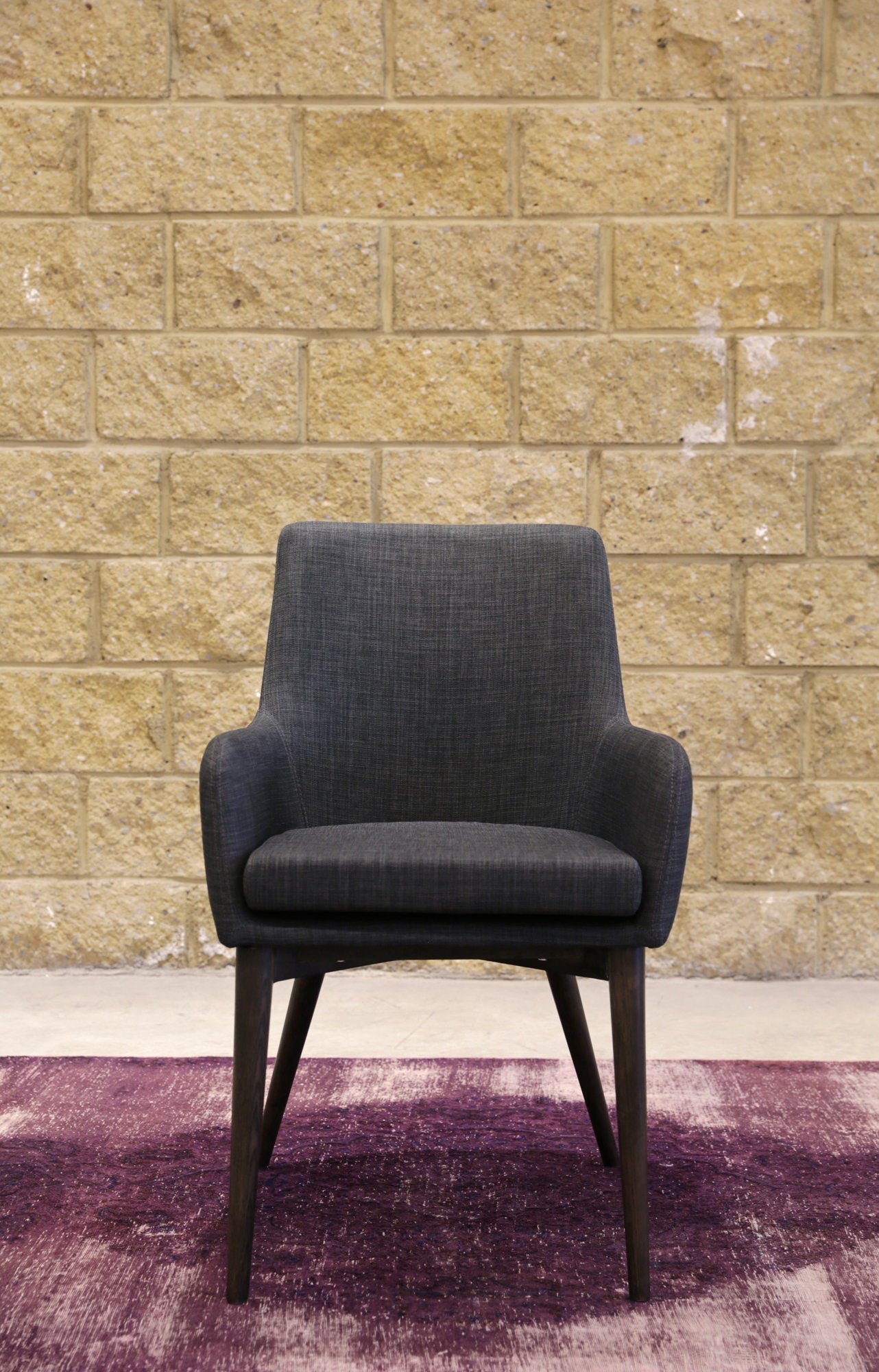 Fritz Arm Dining Chair Set of 2