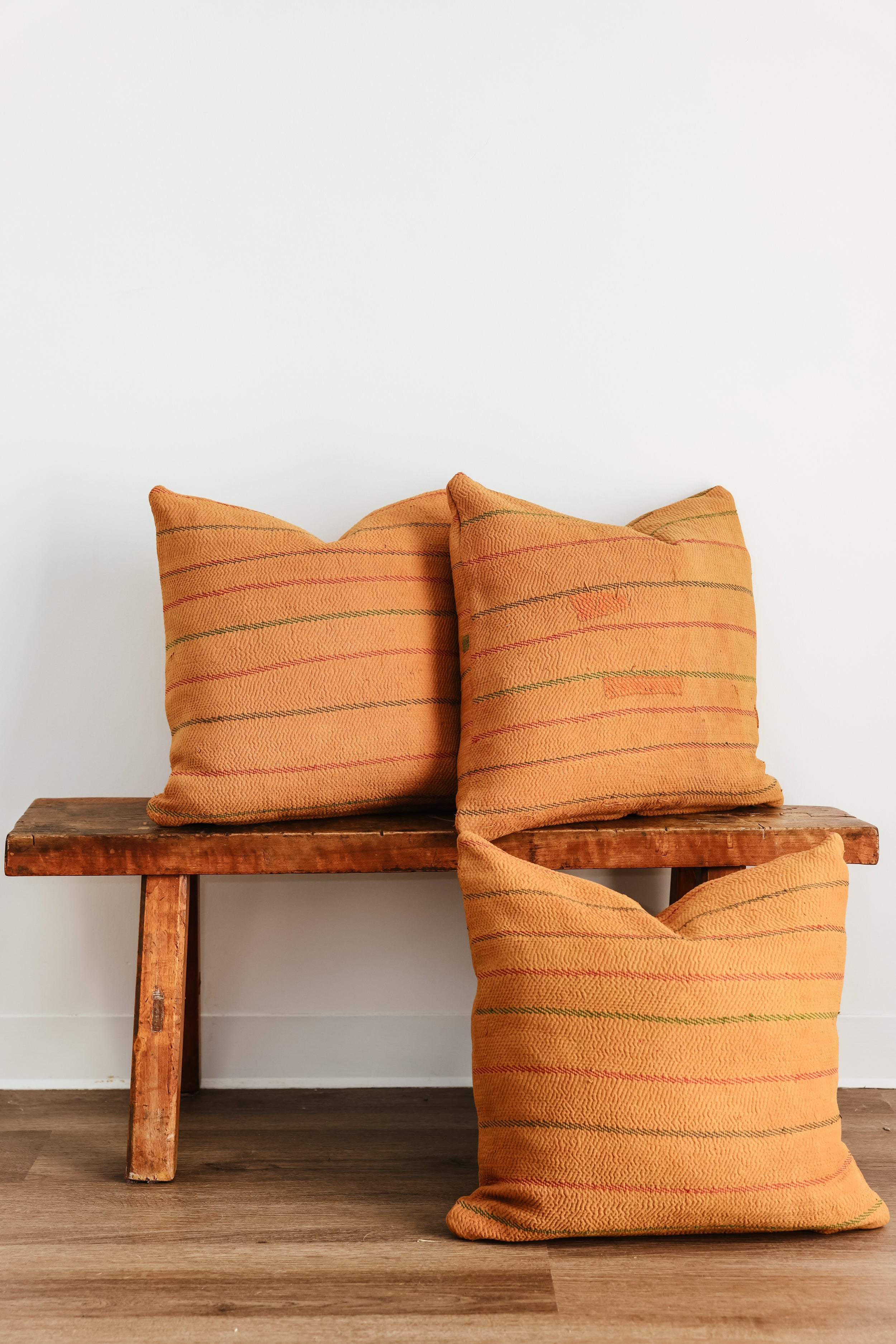 Wren Family 20X20 Pillow 2
