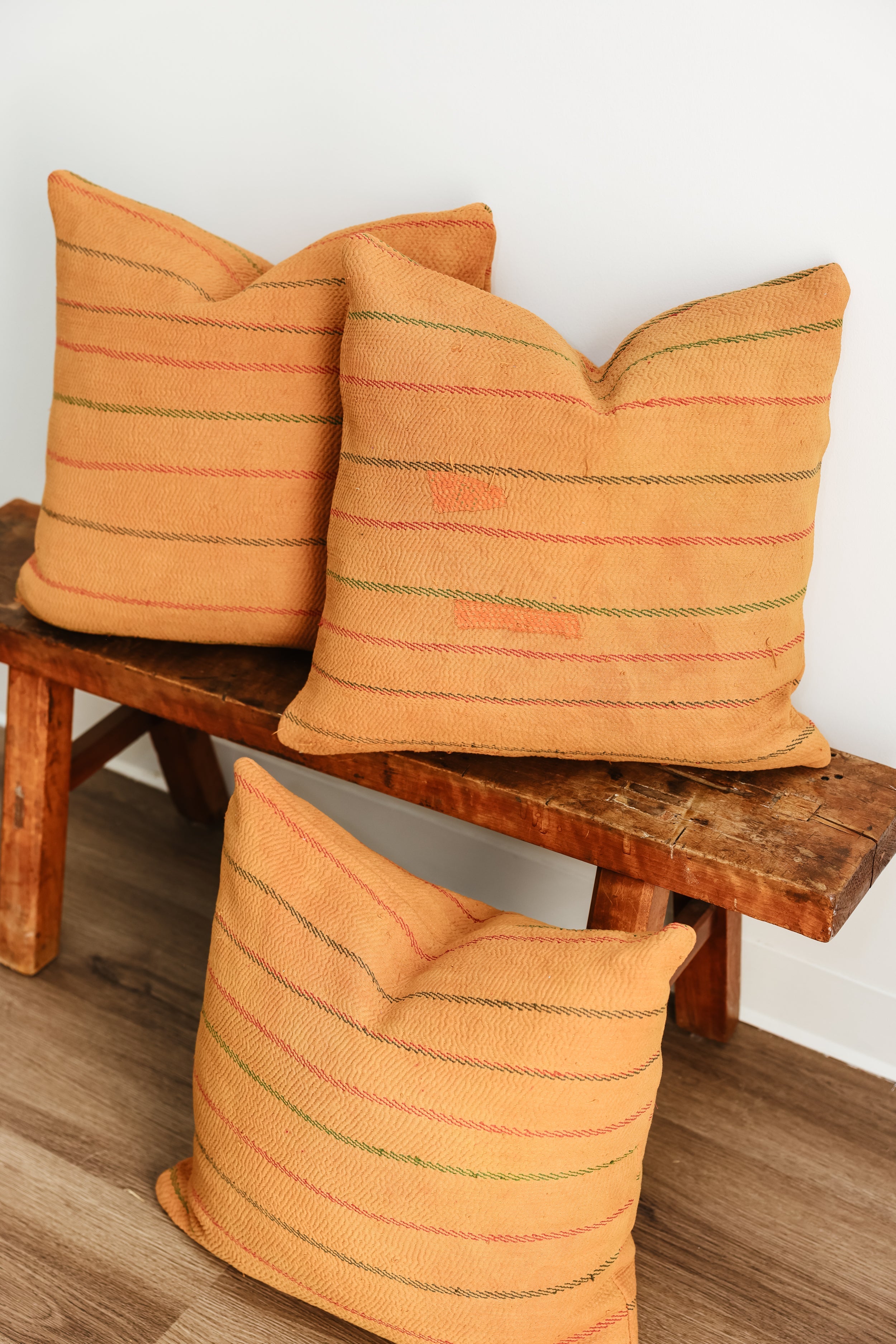 Wren Family 20X20 Pillow 2