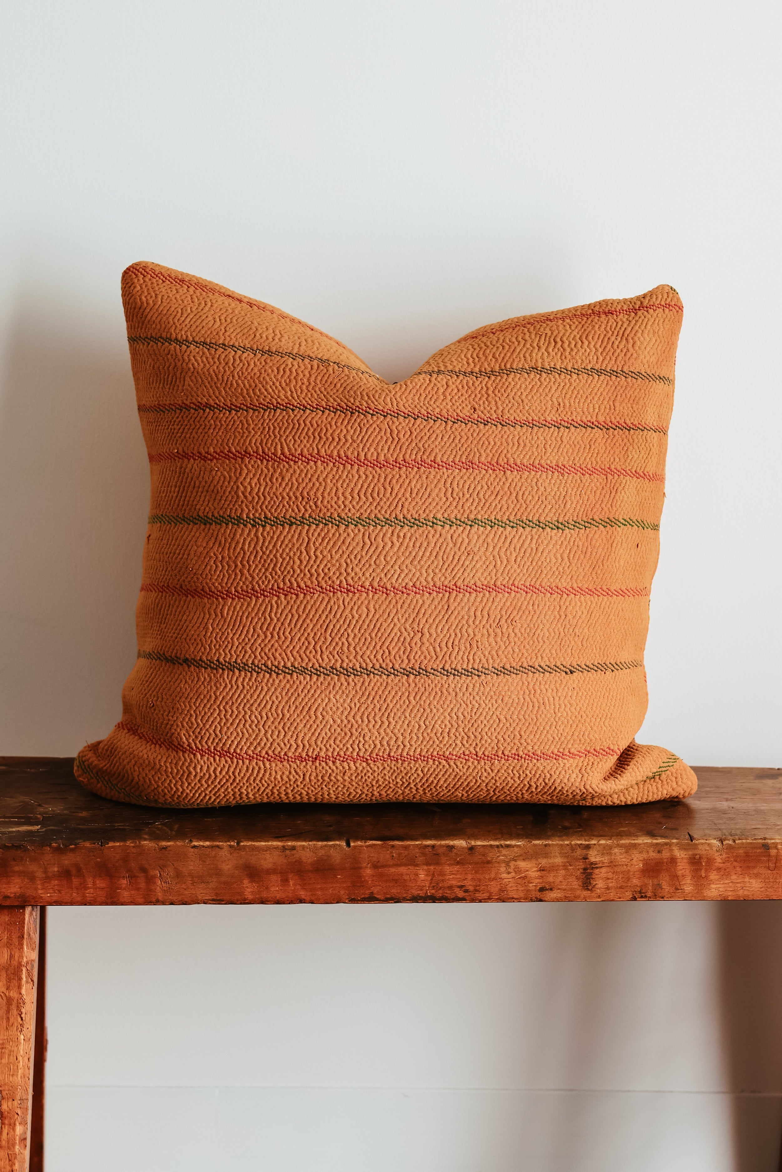 Wren Family 20X20 Pillow 2