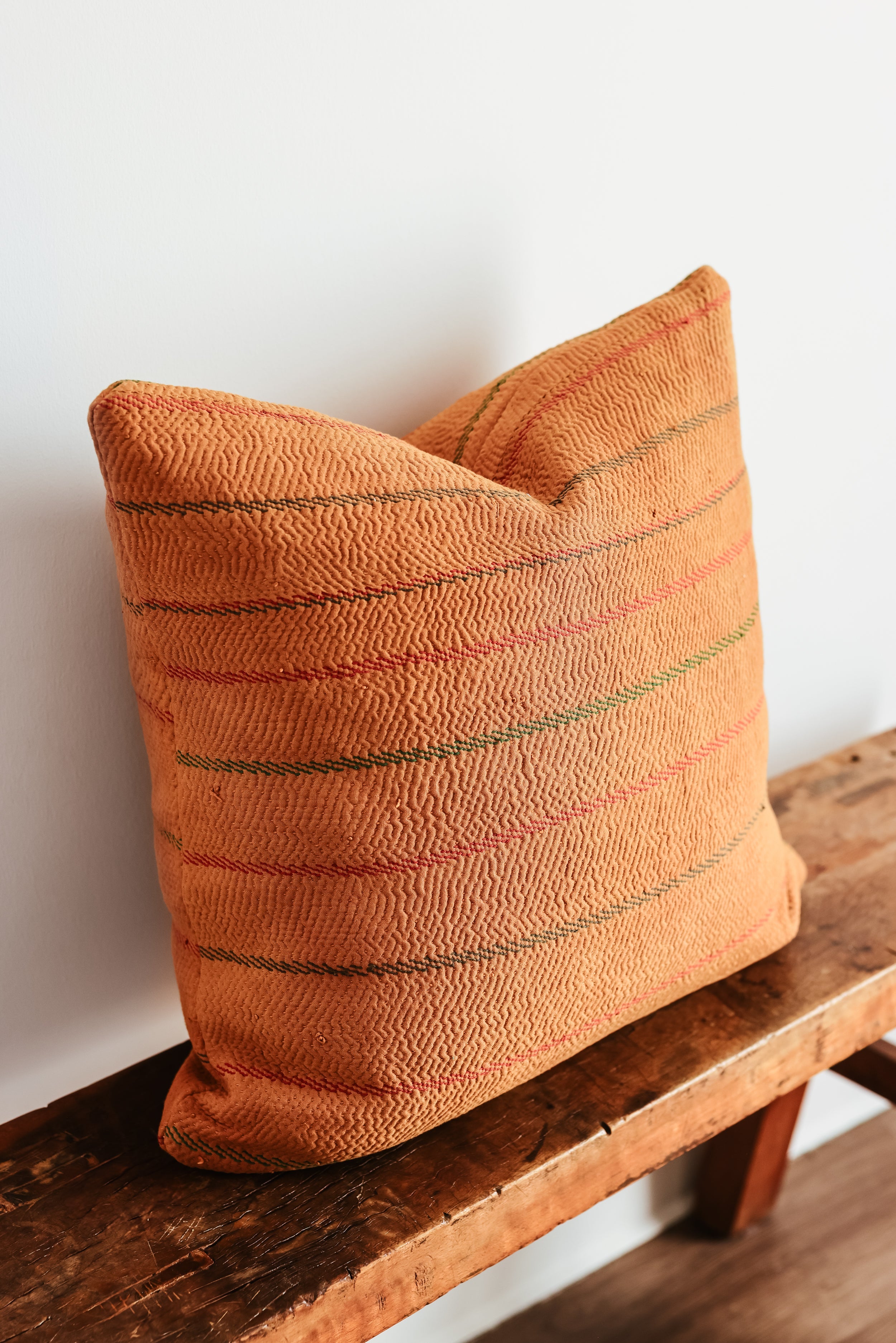 Wren Family 20X20 Pillow 2