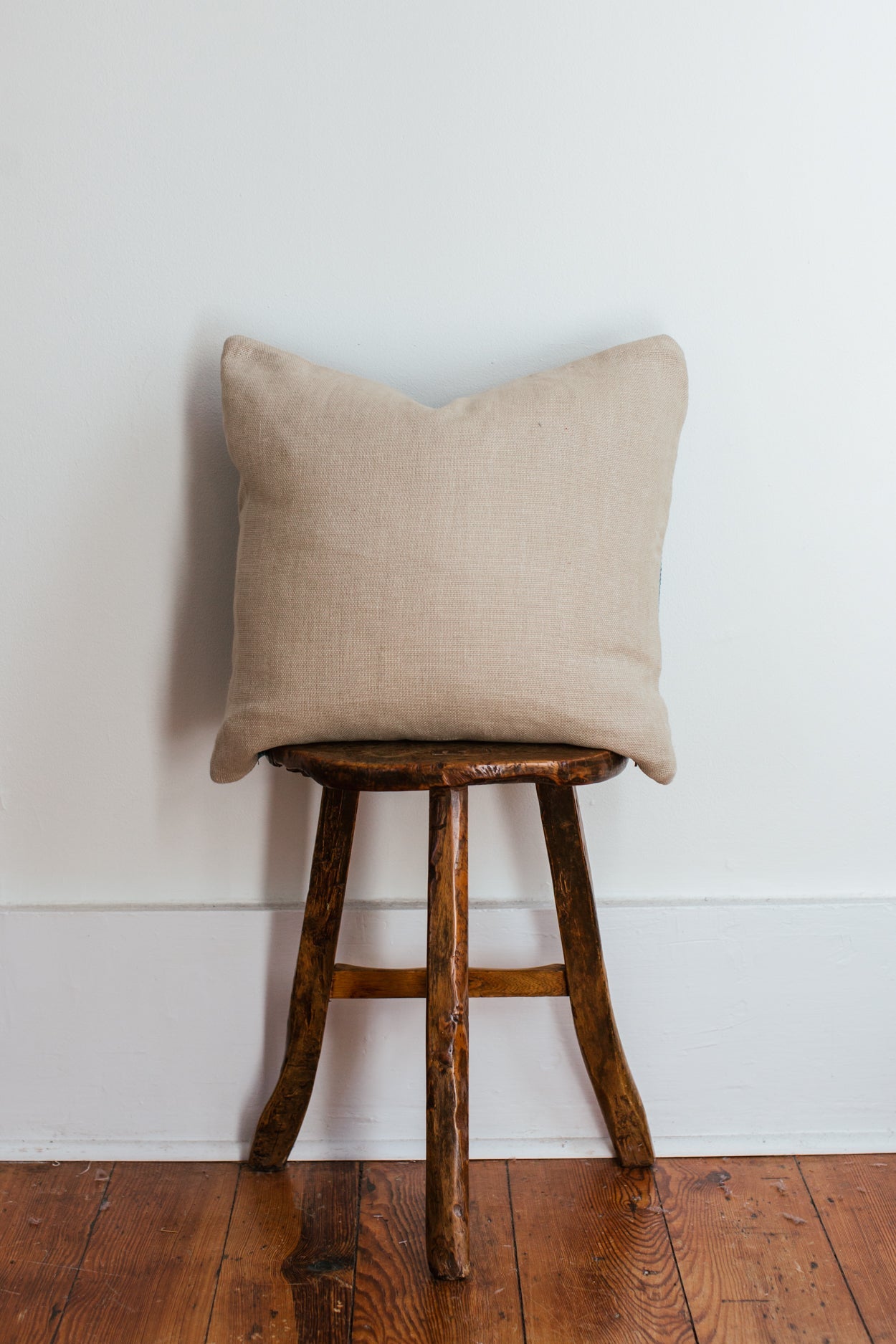 Camila 20X20 Pillow 1