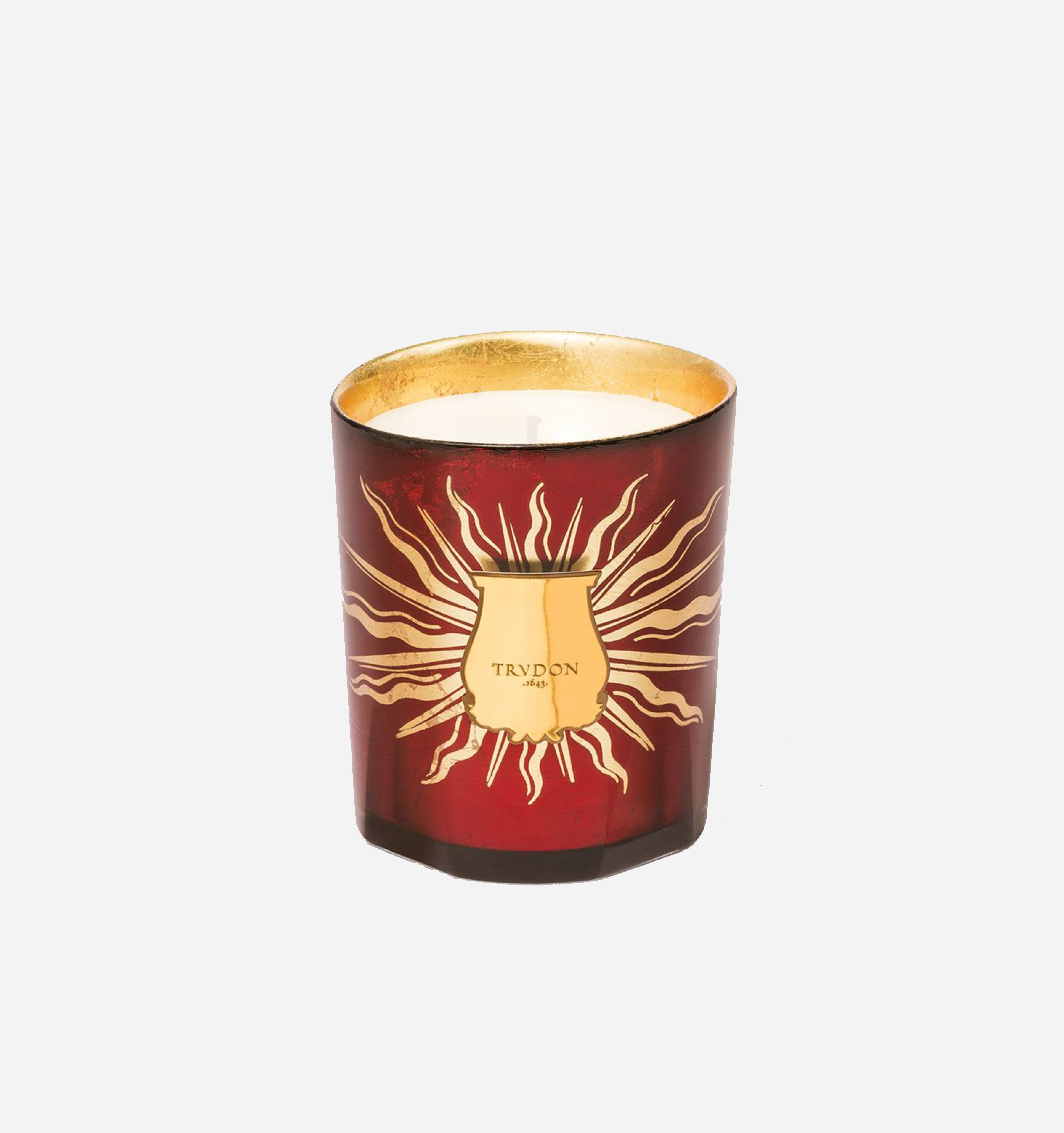 Holiday Spicy Woody Classic Filled Candle