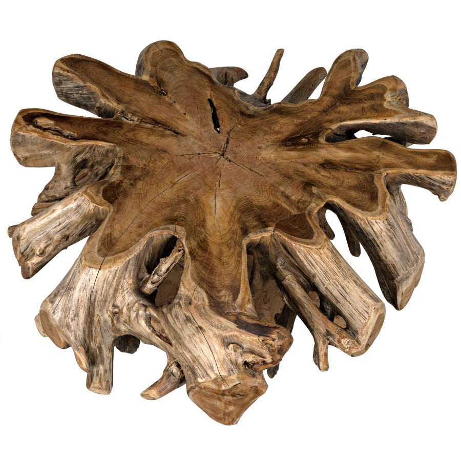 Teak Root Coffee Table