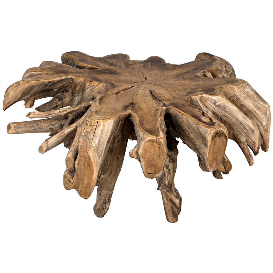 Teak Root Coffee Table