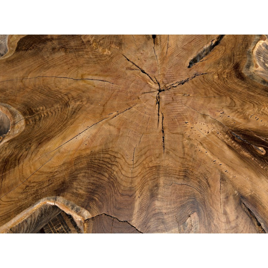 Teak Root Coffee Table